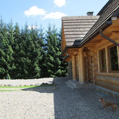 Noclegi Pod Malym Krolem Ustrzyki Dolne Ngoại thất bức ảnh